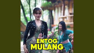 Download lagu Entog Mulang mp3 Download lagu Entog Mulang mp3