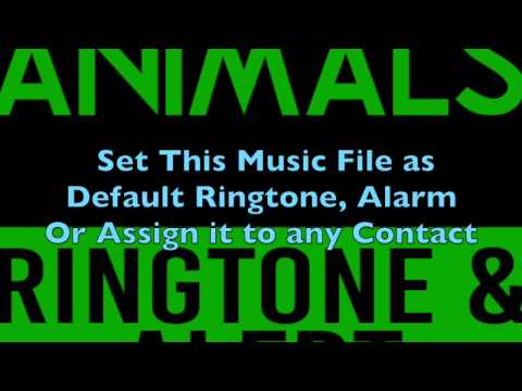 Animals-Maroon 5 Ringtone Video
