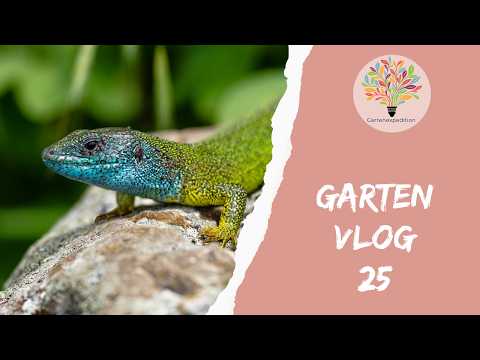 Gartenvlog 25 - Bei der Wildnisschule Ruhrgebiet mit Martin Maschka - Gartenexpedition #naturgarten