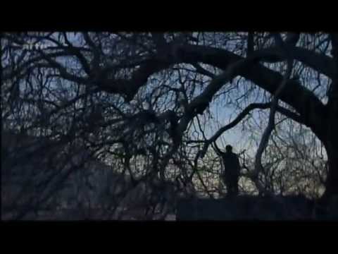 download lagu mp3 mp4 Die Welt Der Farben, download lagu Die Welt Der Farben gratis, unduh video klip Die Welt Der Farben
