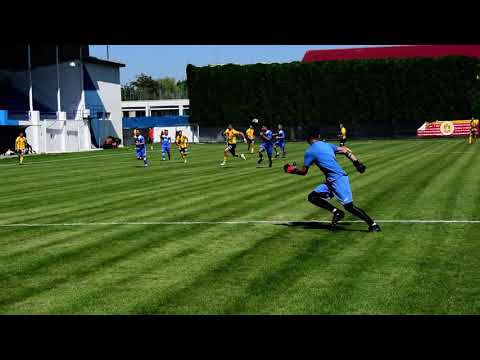 AMICAL. Ripensia Timișoara - Șoimii Lipova, 2-3