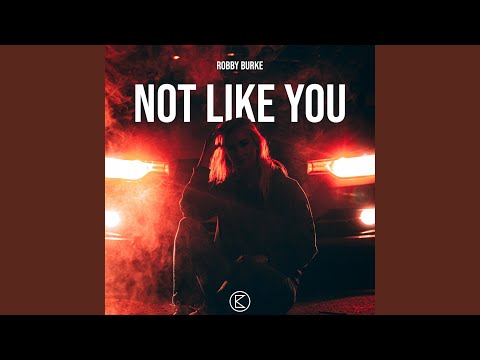 Not Like You (Radio Edit)
