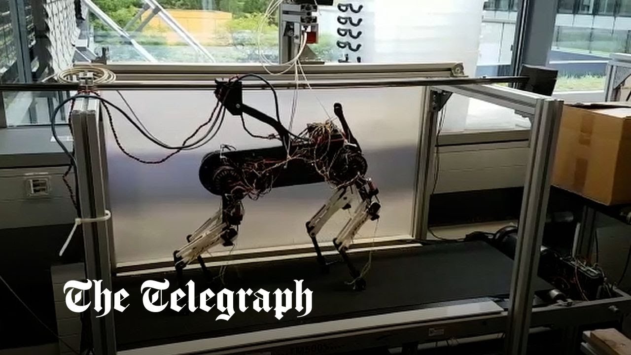 Meet Morti, the mechanical dog that can teach itself how to walk - Vimarsana News