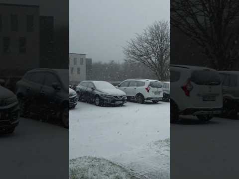 Snowing Day #short 🇩🇰🇩🇰