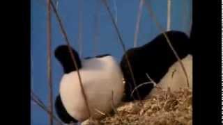 Download lagu good job kikaida mp3 Download lagu good job kikaida mp3