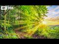 🌿 Peaceful Yourself, Deep Healing Music to Stop Overthinking and Restore Inner Peace