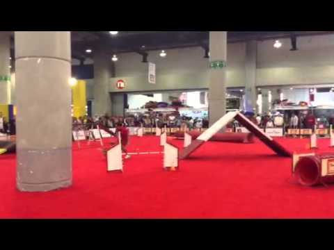 Gerson y Pita segundo recorrido en Expo Can 2014 Domingo