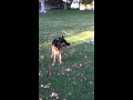 IMG 0796