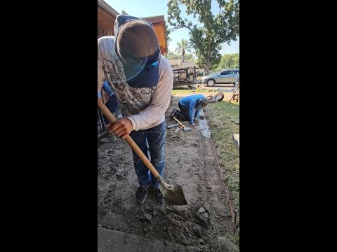 Built to last, not just look good.v #shorts