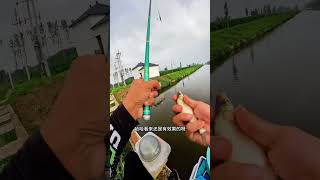 这到底是哪个环节出了问题 钓鱼