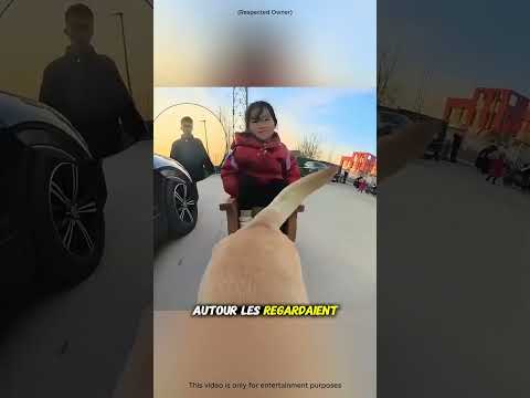 Les chiens héros sauvent une fille !🐶💪 #shorts