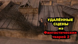 Фантастические твари: Преступления Грин-де-Вальда (УДАЛЁННЫЕ СЦЕНЫ)