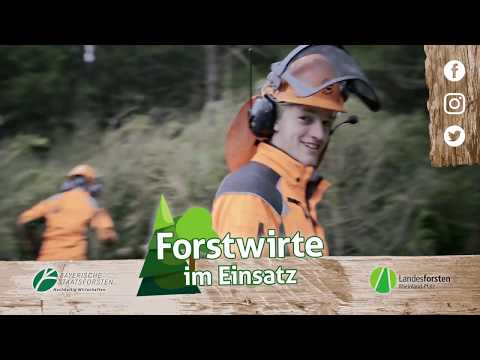 Teaser: FORSTWIRTE IM EINSATZ I FOLGE 7: Von Laub- und Nudelbäumen