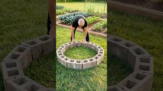 Grow Your Own Food at Home Easy Garden DIY! 🥬🥬🥬