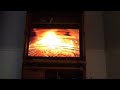 Opening To Really Wild Animals Dinosaurs And Other Creature Features 2005 DVD