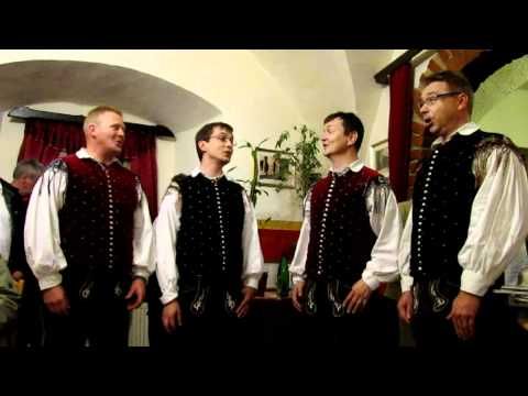 Vokalisti ansambla Bitenc-Petelinov ples (v živo)