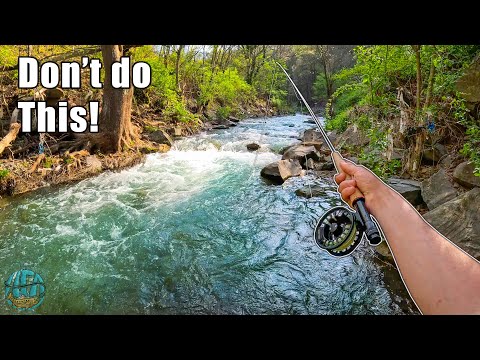 5 Things to Avoid While Fly Fishing! (How to fly fish for trout)