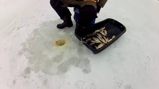На что ловят красноперку зимой