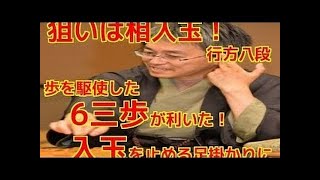 将棋 棋譜 ▲行方尚史 vs △羽生善治 2015-05-28 第73期名人戦七番勝負第５局 戦法(定跡)矢倉★激指ゲームソフト無料解説講座付き★Shogi(Japanese Chess)