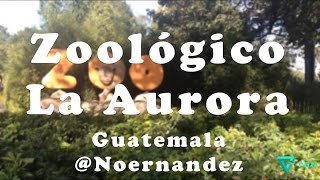 preview picture of video 'Zoológico La Aurora, Guatemala'