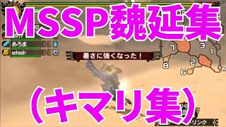 MSSP魏延集（キマリ集）【MSSP切り抜き】