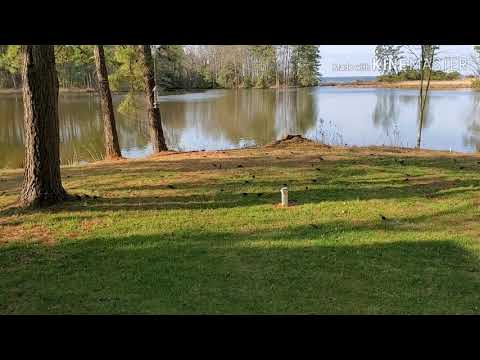 20 SECOND SOLITUDE  03-22-2020 9:22am