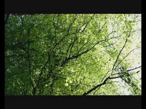 nessun dorma (cover by Enzo Massetti)