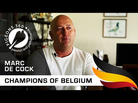 Champions of Belgium - Marc de COCK - Top Pigeon Fancier