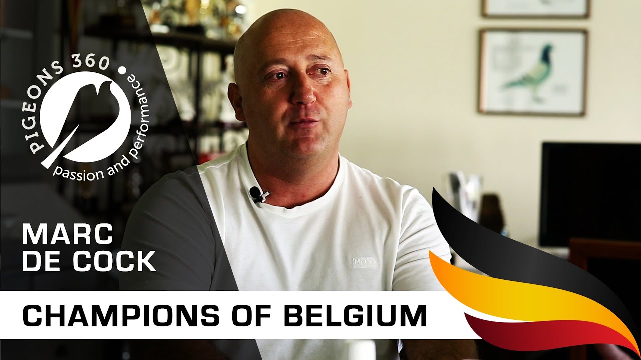 Champions of Belgium - Marc De COCK