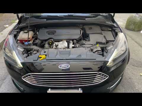 Ford Focus  1.5 TDci  120cv  “motore”