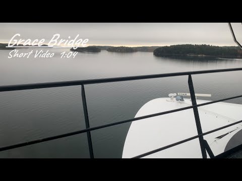 Viking Grace Bridge 31/10-2020