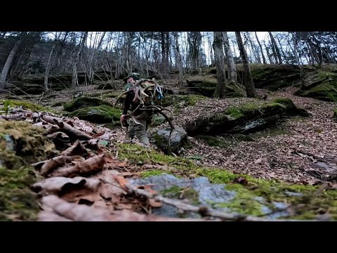 Palchi di cervo - Vecchie conoscenze