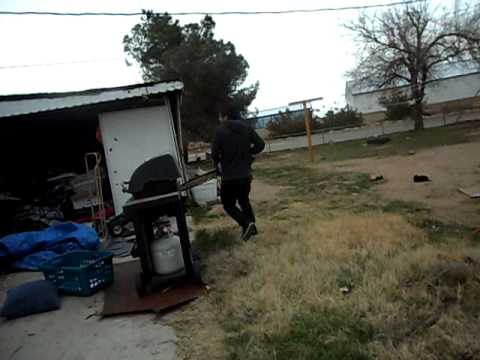 Chainsaw Rough Housing