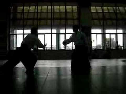 Tomohiro Mori Shihan Aikido demonstration 2