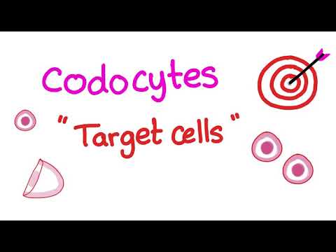 Target Cellular