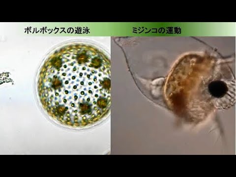 【オープンキャンパス】理科専修の各学修領域説明