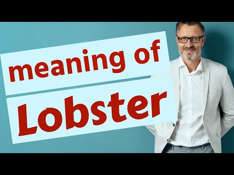 ロブスター (Palinurus elephas)