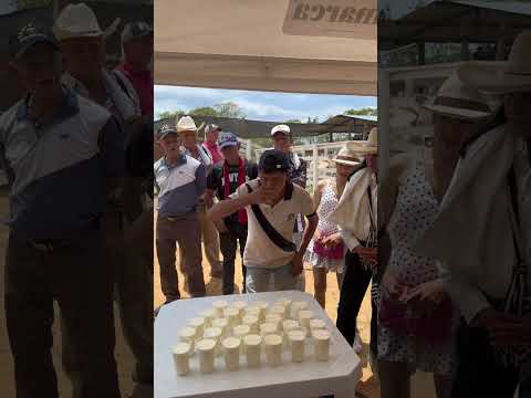 Mejor Tomador de leche, Pulí Cundinamarca.