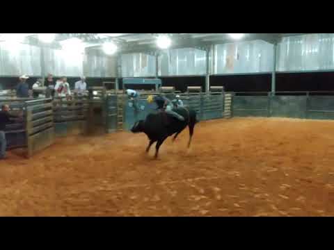 Rogério Ferreira - Piriquito Competidor em Touros