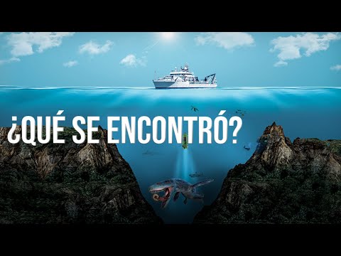 Los Lugares Más Horripilantes Del Océano A 11.034 m Bajo El Nivel Del Mar