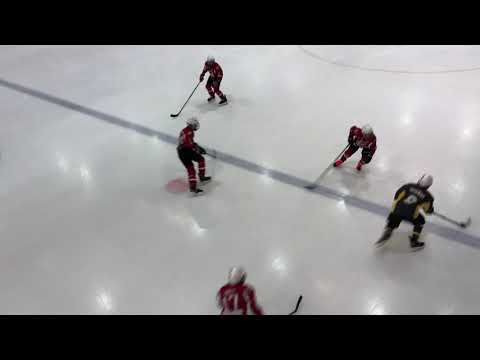 HC Vipers 09 - HK Zibeni