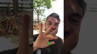 TODOS QUE DESCOBREM ISTO MUDAM DE VIDA