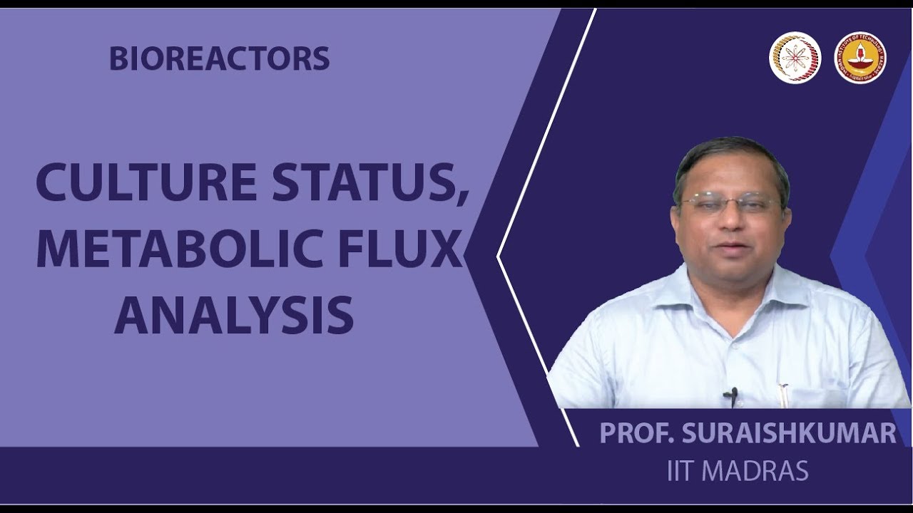 Culture Status, Metabolic Flux Analysis