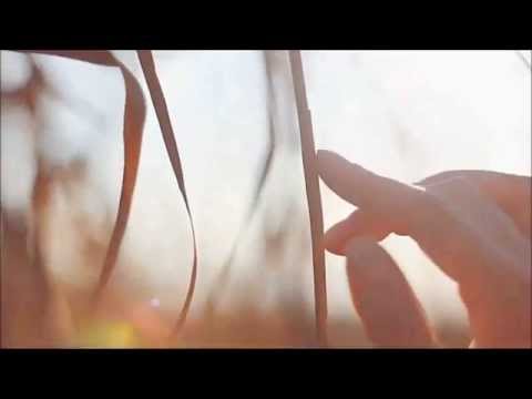 PABLO ABRIL DE VIVERO. Las alas rotas. Por Joan Mora.