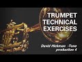 🎺🎺🎺 Trumpet Lessons with David Hickman  -Tone production 4 [Breath Attack]
