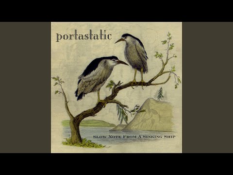 Skinny Glasses Girl - Portastatic