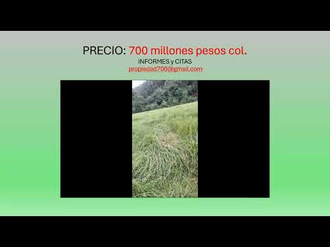 Lote cerca de Bogotá, 13 fanegadas - 8 hectareas. Ideal para inversión, retiro o proyecto familiar.