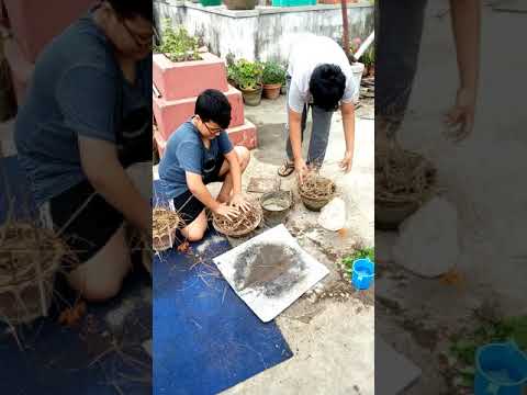 Aaryav n shardul preparing flower pot .