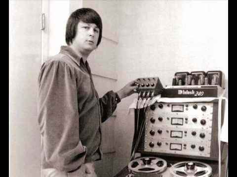 The Beach Boys - Let Him Run Wild (instrumental) - 1965