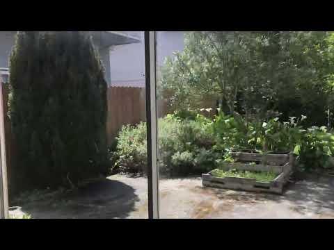 1858mill - Video 2 of 2